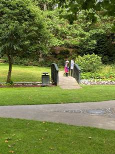 A picture containing tree, grass, outdoor, green

Description automatically generated