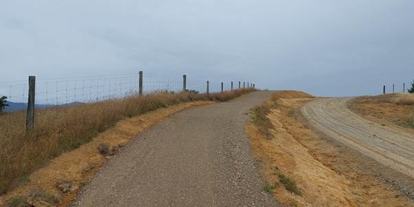 A picture containing grass, outdoor, sky, ground

Description automatically generated