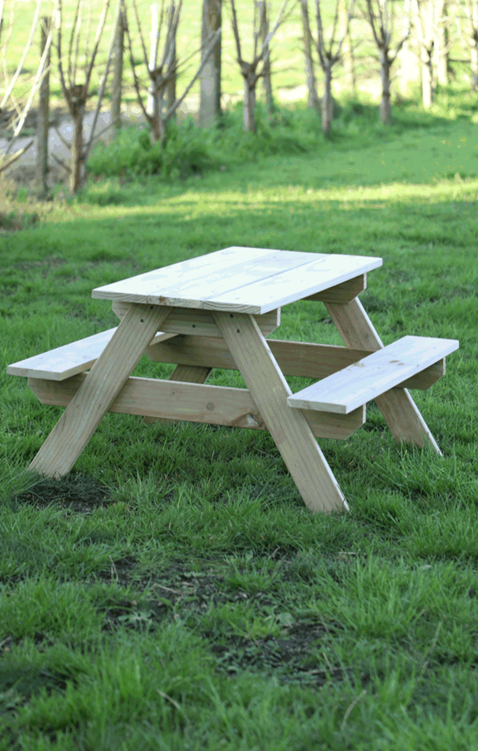 A wooden picnic table in a grassy area

Description automatically generated with medium confidence