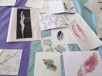 Several cards with prints on them

Description automatically generated with medium confidence