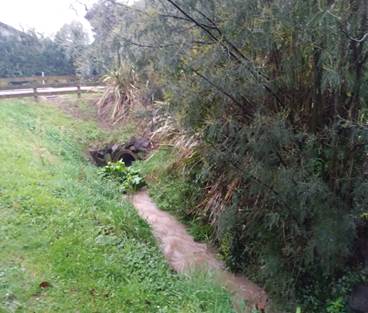 A dirt path through a grassy area

Description automatically generated