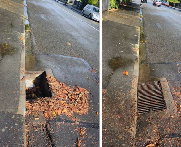 A drain in the street

Description automatically generated with medium confidence