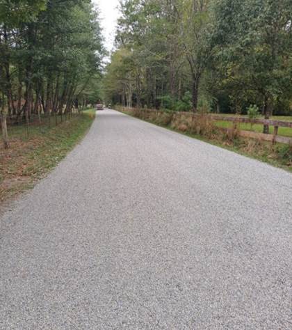 A road with trees and grass

Description automatically generated