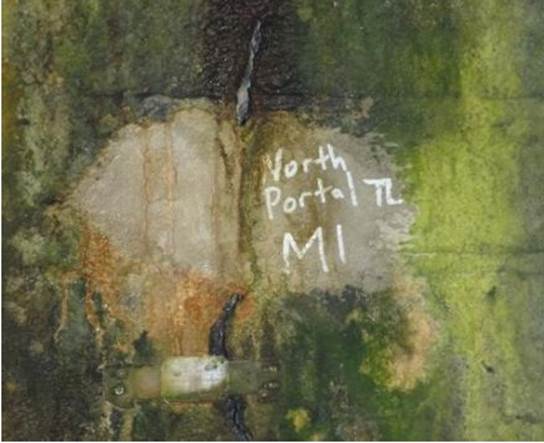 A close-up of a rock wall

Description automatically generated