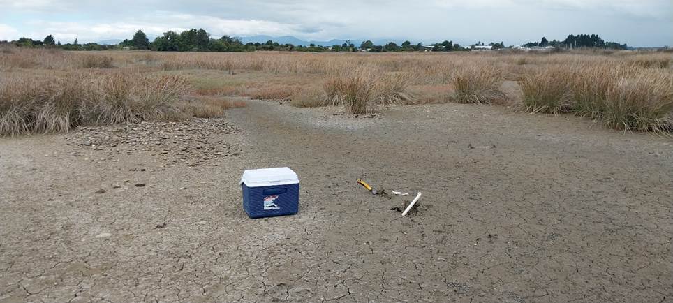 A blue and white cooler on the ground

Description automatically generated