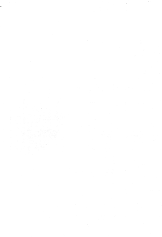 A white background with black dots

Description automatically generated