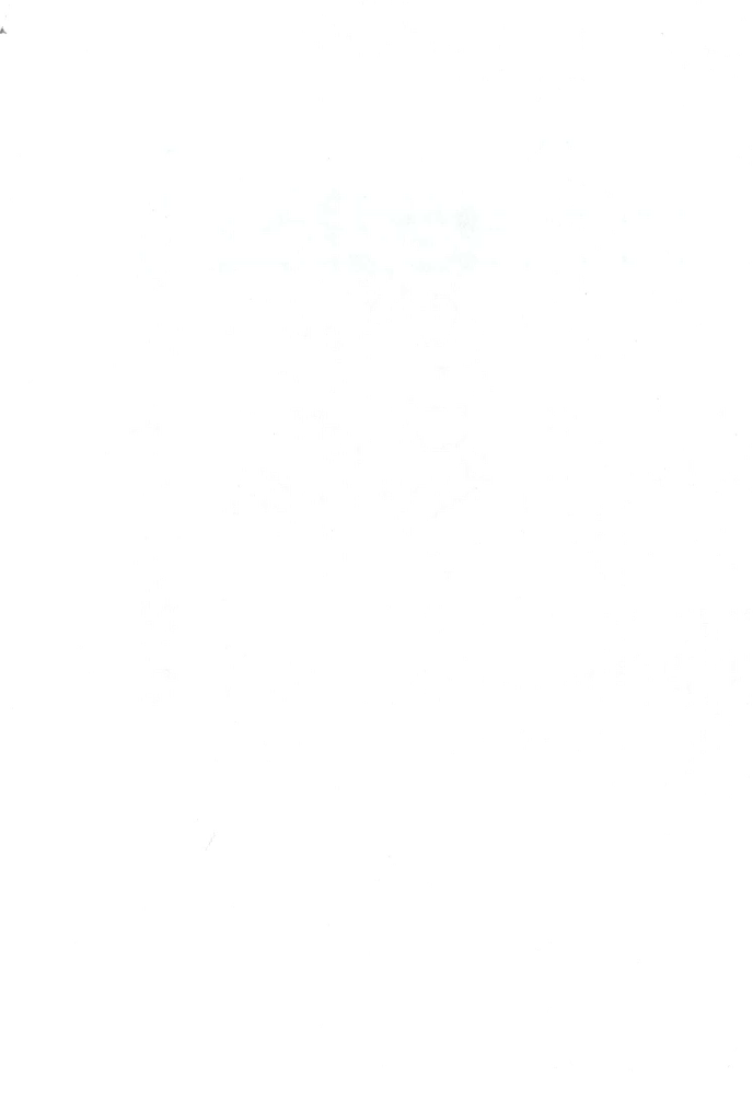 A white sheet of paper

Description automatically generated