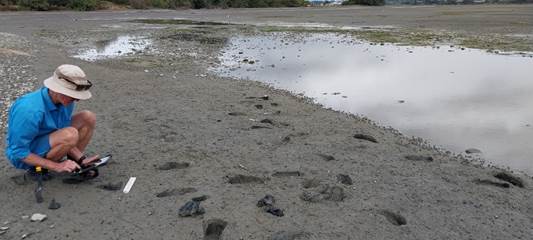 A wet sand with a puddle of water