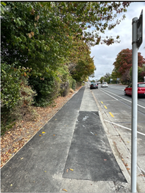A road with trees and a sign

Description automatically generated