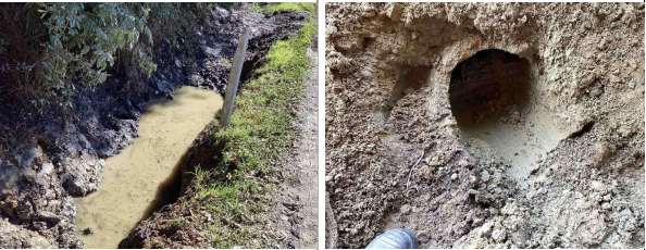 A collage of a person's foot print

Description automatically generated