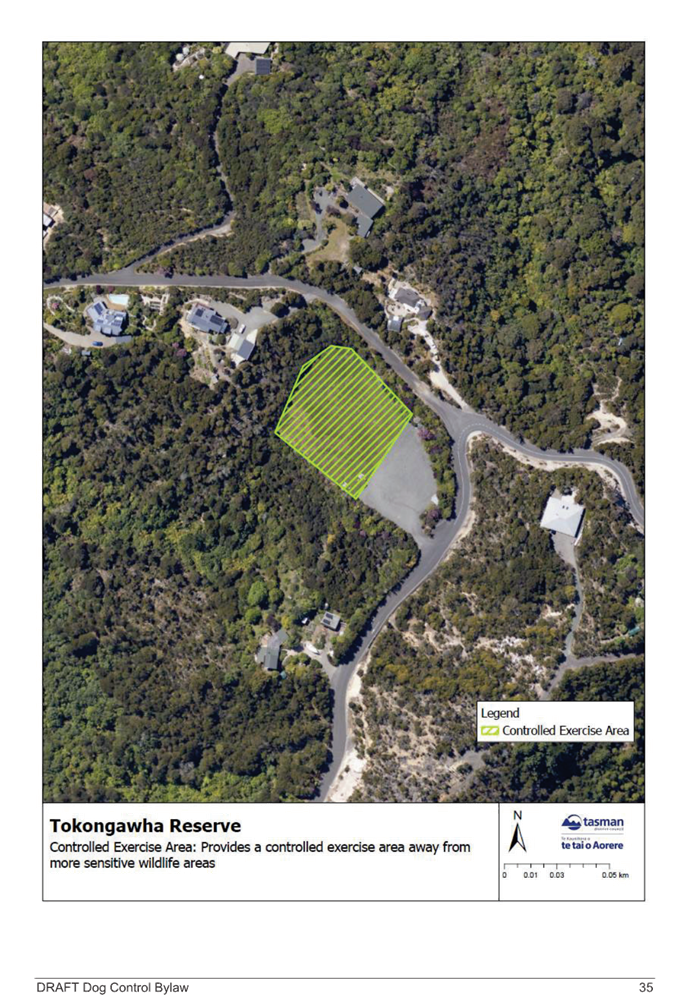 A map of a forest

Description automatically generated