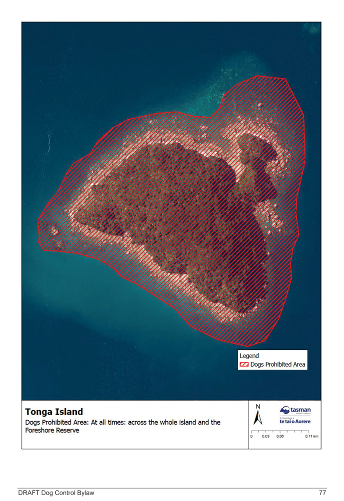 A map of a island

Description automatically generated