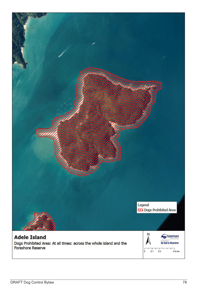 An aerial view of an island

Description automatically generated