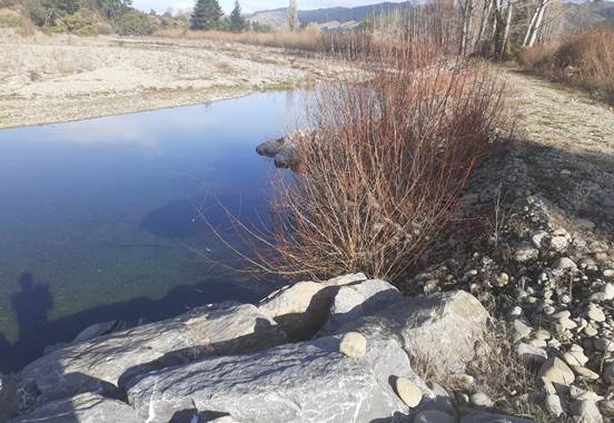 A pond with rocks and bushes

Description automatically generated