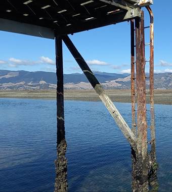 A structure in the water

Description automatically generated