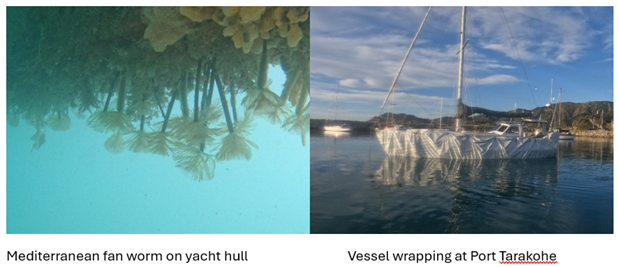 A comparison of a boat and a plant

Description automatically generated