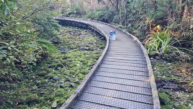 A curved walkway in the middle of a forest

Description automatically generated