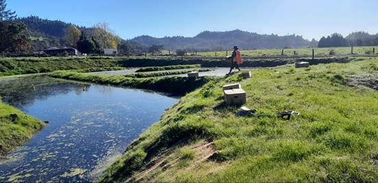 A person walking on a grassy hill next to a body of water

Description automatically generated