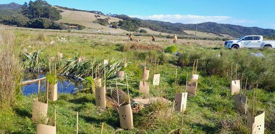 A field with plants and trees

Description automatically generated with medium confidence