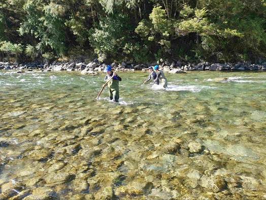 People in a river

Description automatically generated