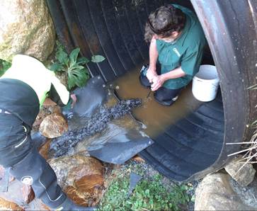 A person in a pipe with a crocodile in it

Description automatically generated with medium confidence