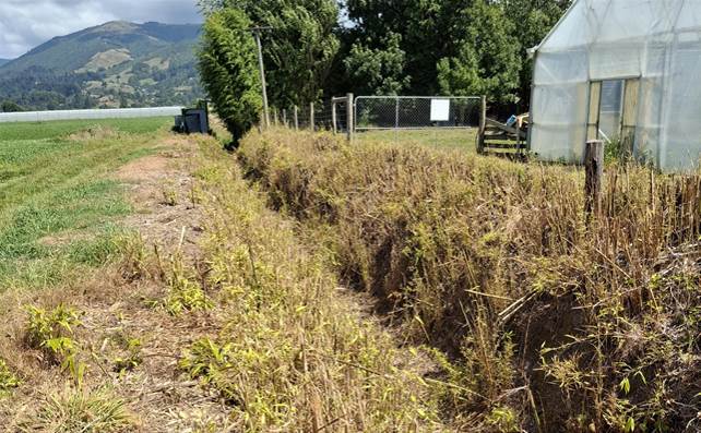A field with plants and a house

AI-generated content may be incorrect.