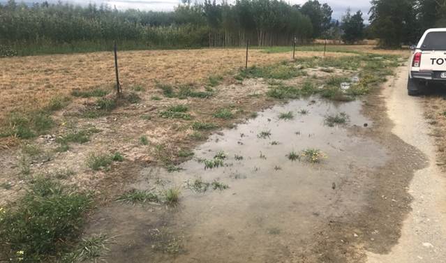 A muddy road with trees and a fence

AI-generated content may be incorrect.