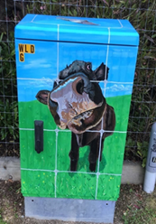 A painted metal box with a cow face

AI-generated content may be incorrect.