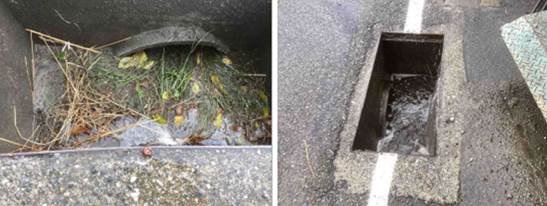 A cat in a drain

AI-generated content may be incorrect.