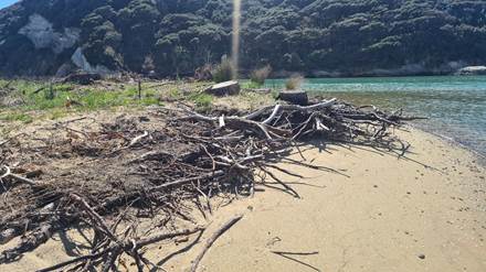 A pile of sticks on a beach

AI-generated content may be incorrect.