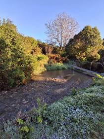 A small river running through a forest

AI-generated content may be incorrect.