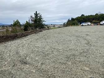 A gravel road with trees and bushes

AI-generated content may be incorrect.