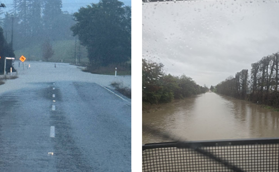 A road with water and trees

AI-generated content may be incorrect.