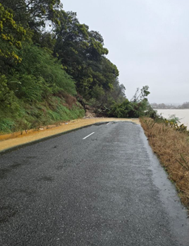 A road with trees and water in the background

AI-generated content may be incorrect.