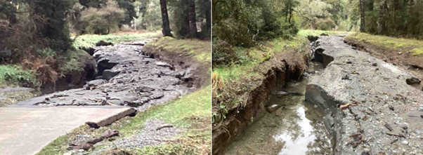 A split screen of a river

AI-generated content may be incorrect.
