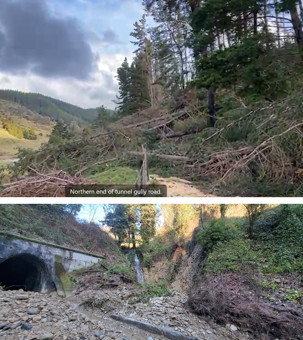 A collage of a road and a tunnel

AI-generated content may be incorrect.