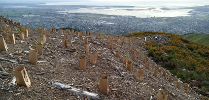 A group of bags on a hill

AI-generated content may be incorrect.